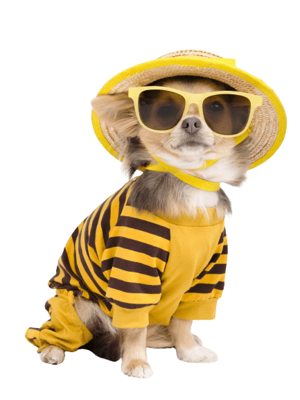 econodog_hero_dog